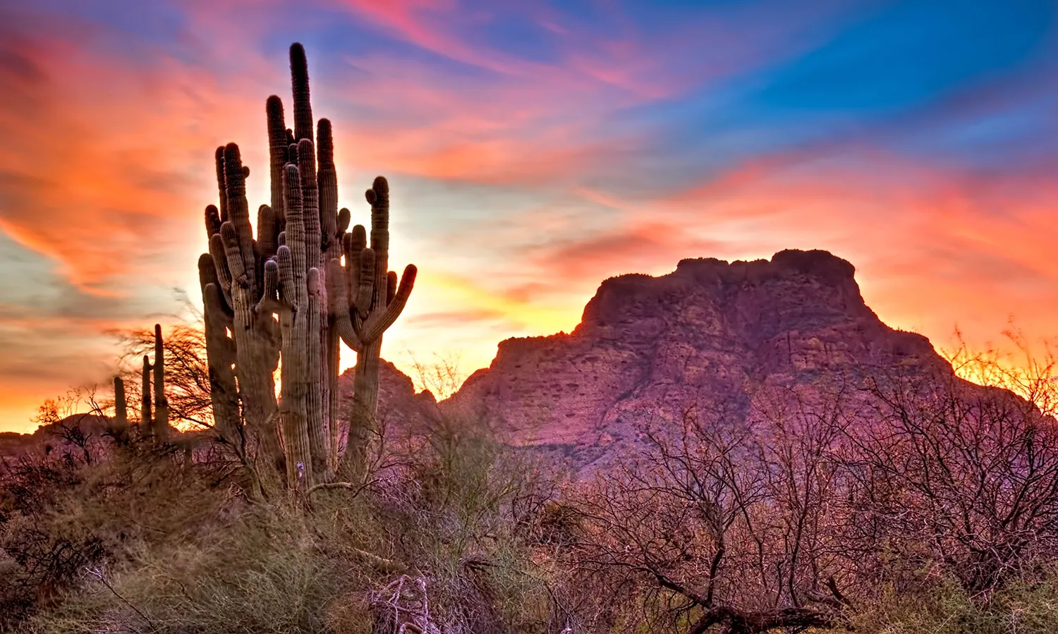 Moon Valley Med Spa: Grand Opening this October in Phoenix, AZ!