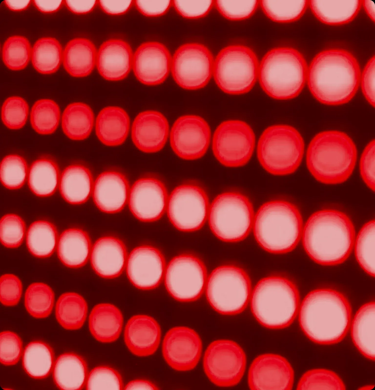 Red Light Therapy